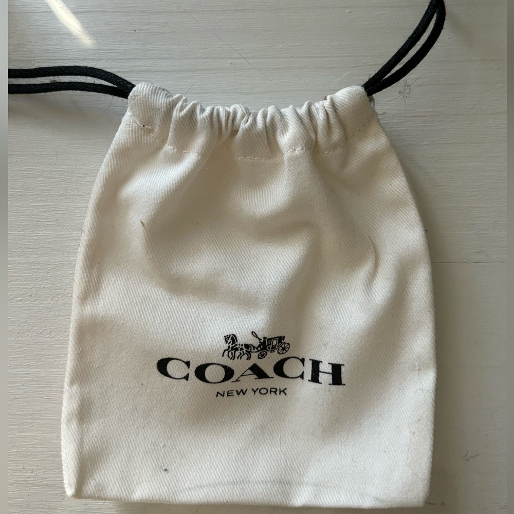 Coach Dust Bag (S)